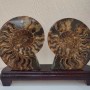 Ammonite on Stand. Sliced ammonite on a wooden stand, weight 1531g (weight with stand)
