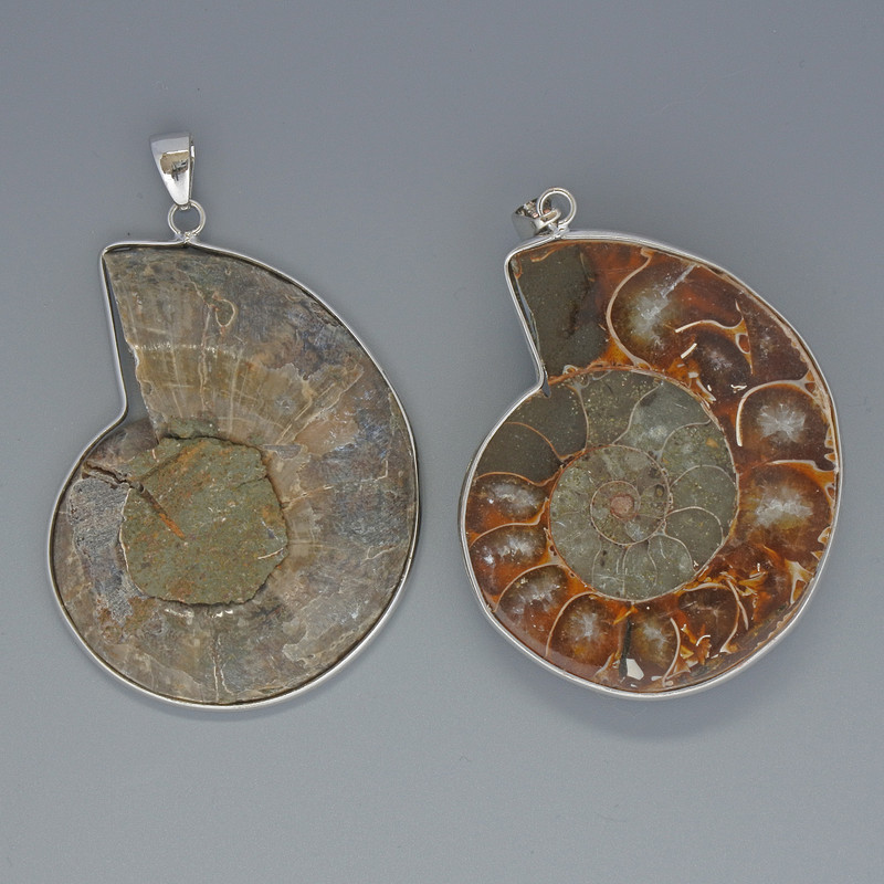 Ammonite Pendant, assortment diameter from 35x43mm to 37x45mm+-, length 53mm+- in a silver setting assortment size