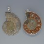 Ammonite Pendant, assortment diameter from 35x43mm to 37x45mm+-, length 53mm+- in a silver setting assortment size