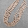 Beads Czech Crystal Beige Faceted Rondelle, 6x4 mm, 5 mm+-, 41 mm+- on Thread