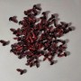 Findings "Live Eyes" red color, diameter 8mm, pack of 50 pairs