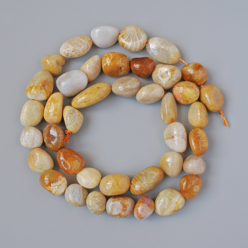Beads of Fossilized Coral, natural faceted rondelle, diameter 8×10mm, length 41cm on cord