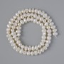 Freshwater Pearls, relief, diameter 6×4.5 mm, length 35 cm on thread