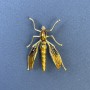 Brooch Insect, golden color metal, diameter 39mm±, length 42mm±