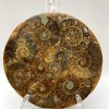 Souvenir Plate with Petrified Ammonite, diameter 11 cm± with stand 15x10 cm+