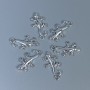 Pendant finding Lizard color: silver, size 23×13×2 mm± hole diameter 2 mm± packaging 12 pcs