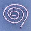 Kunzite Beads Square Rondelle 2.5×1mm ± on a Thread, length 39cm+