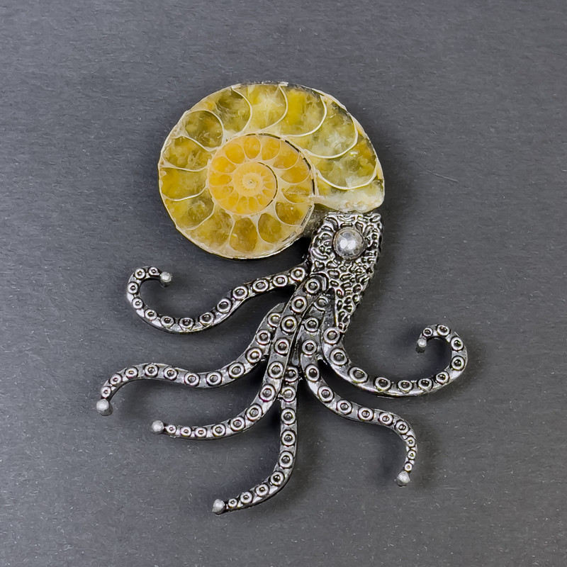 Brooch-Pendant Ammonite, diameter 32-38mm±, silver metal 67x53mm±, Assorted sizes