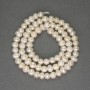 Freshwater White Oval Pearls on Thread, 5x5-5.5 mm, on a String, 35 cm+