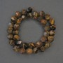 Tiger's Eye Beads Multistranded, diameter 10x9mm ±, thread length 36cm ±