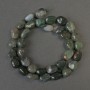 Moss Agate Beads, Pearly Tumbled 12x10 mm, length 40 cm on thread