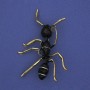 Brooch Ant (ant) black enamel, gold-tone metal 42x57mm+