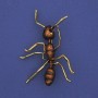 Brooch Ant Brown Enamel, Gold-Toned Metal 42x57mm+