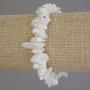 Bracelet Mother-of-Ppearl碎 shard? 18cm?