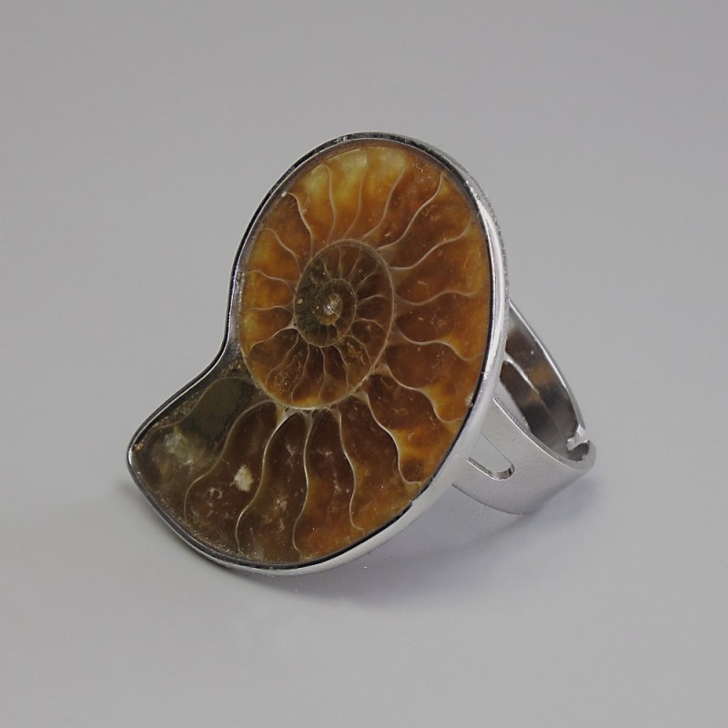 Ammonite ring 25x30mm± without, silver-toned metal sizes