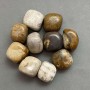 Fossilized coral tumbled natural stone ~ sizes 21-25×17-22×17 mm (+-) packaged 100 g (price per 100 g)