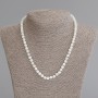 Mother-of-P Pearl Rondelle Beads Necklace, diameter 4-5×5 mm, 50 cm length ± with clasp