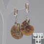 Earrings with natural Ammonites 24x17x6mm,+-, length 50mm+-, assorted sizes