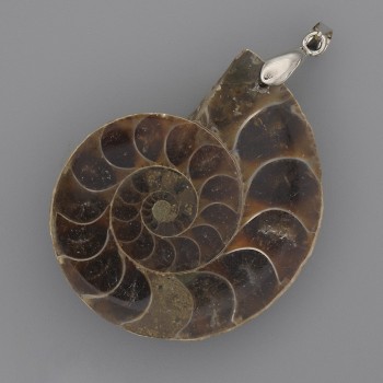 Ammonite Pendant 42x35mm+-, length 52mm+-, assorted sizes (per 1 pc)