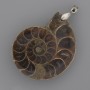 Ammonite Pendant 42x35mm+-, length 52mm+-, assorted sizes (per 1 pc)