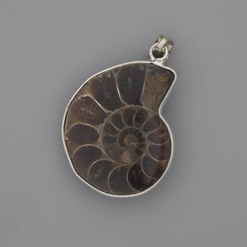 Ammonite Pendant in Silvered Setting 30×26mm ±, length 43mm ± assorted sizes (per 1 pc)