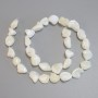 Mother-of-P Pearl Barred Beads, diameter 12-15×10-11, 5mm+-, thread length 38cm+-