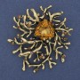Brooch Pendant Accent Yellow Crystal Crystal Stone with Gold-Tone Metal 55x62mm+