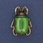 Brooch Bug with green enamel, black rhinestones, golden metal 23x31mm+