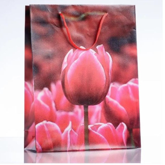 Clearance! Gift Bag 18x24 cm (PE material)