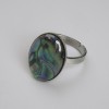 Ring, Haliotis Oval 19×14 mm ±, without backing, silver metal</name