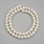 Freshwater Pearls Beads, diameter 6.5-7×7 mm ± on a thread, length 36cm+