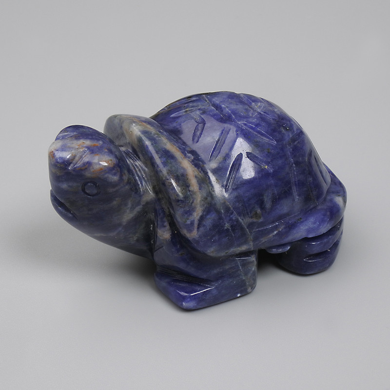 Souvenir Turtle Sodalite figurine 50x30x25mm+