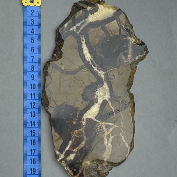 Souvenir plate made of natural septarian stone 19x11x*0.9 cm± (weight 341 g)