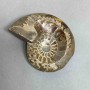 Ammonite with cavity souvenir stone, diameter 109mm+- weight 308g (price per piece)