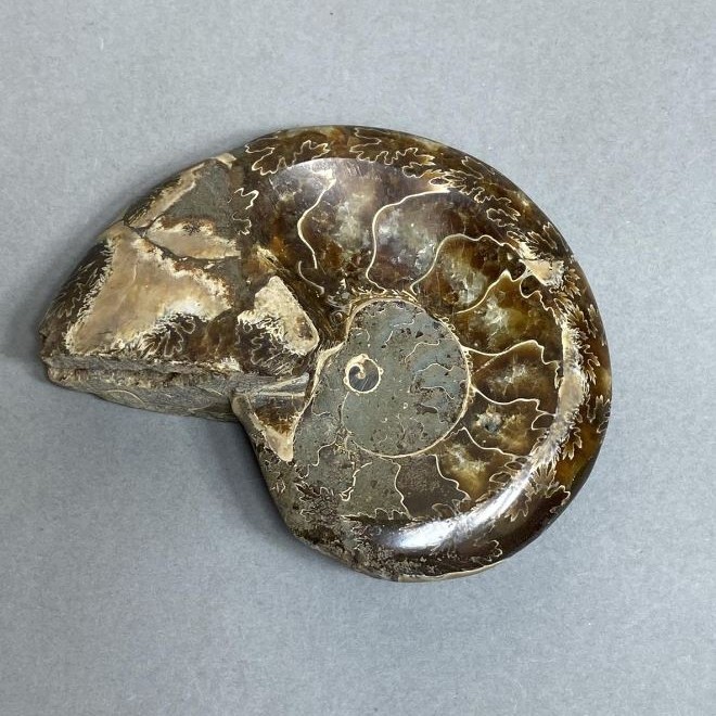 Ammonite with a cavity souvenir stone, diameter 94mm± weight 206g (price per piece)