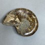 Ammonite with a cavity souvenir stone, diameter 94mm± weight 206g (price per piece)