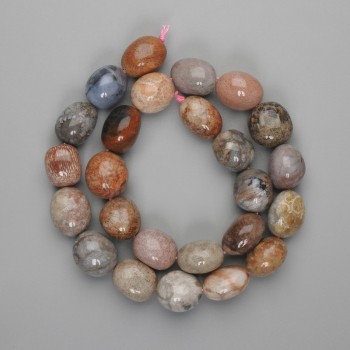 Beads Fossilized Coral Tumbled 14-16×13-15 mm, 39 cm long on thread