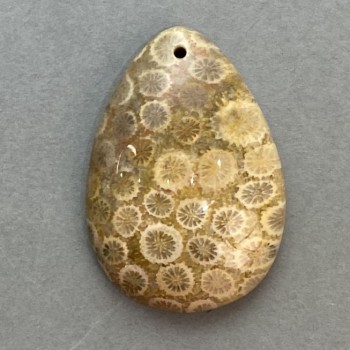 Fossilized Coral Pendant 35x23mm