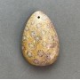 Pendant of Fossilized Coral 39×27 mm+