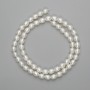 Freshwater Pearls Beads 6–7 mm on a Thread 37 cm long