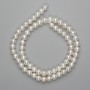 Freshwater Pearls on a String 6–6.5 mm, 39 cm length, on a thread