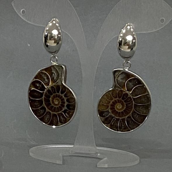Earrings Natural Ammonite, diameter 32×27 mm±, length 53 mm±