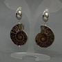 Earrings Natural Ammonite, diameter 32×27 mm±, length 53 mm±