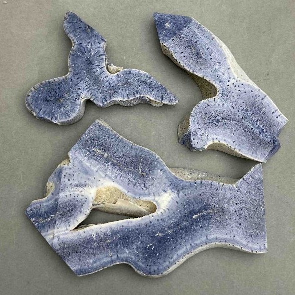 Price per 100 g! Natural stone souvenir plate Sponge coral, approx. 50x65x10 mm ± up to 110x70x10 mm ± assorted sizes