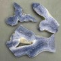 Price per 100 g! Natural stone souvenir plate Sponge coral, approx. 50x65x10 mm ± up to 110x70x10 mm ± assorted sizes