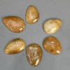 Pendant Fossilized Coral 45-55x35-40mm ± assorted sizes