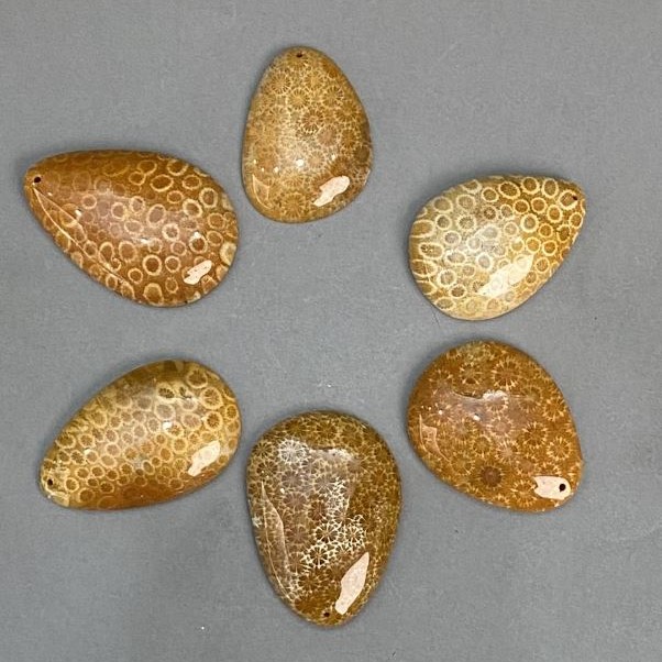 Pendant Fossilized Coral 45-55x35-40mm ± assorted sizes