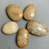 Petrified Coral Pendant 40-55x30-40mm+- assorted size