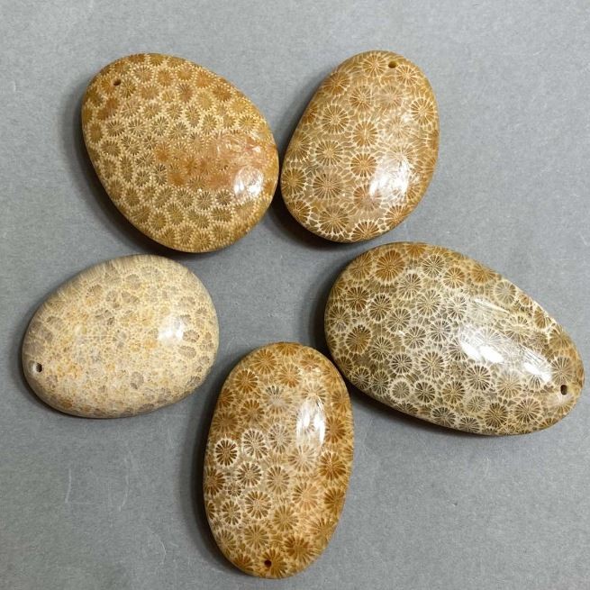 Petrified Coral Pendant 40-55x30-40mm+- assorted size