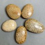 Petrified Coral Pendant 40-55x30-40mm+- assorted size